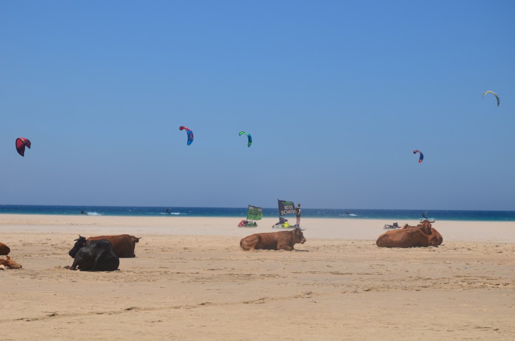 escuela kite fun tarifa