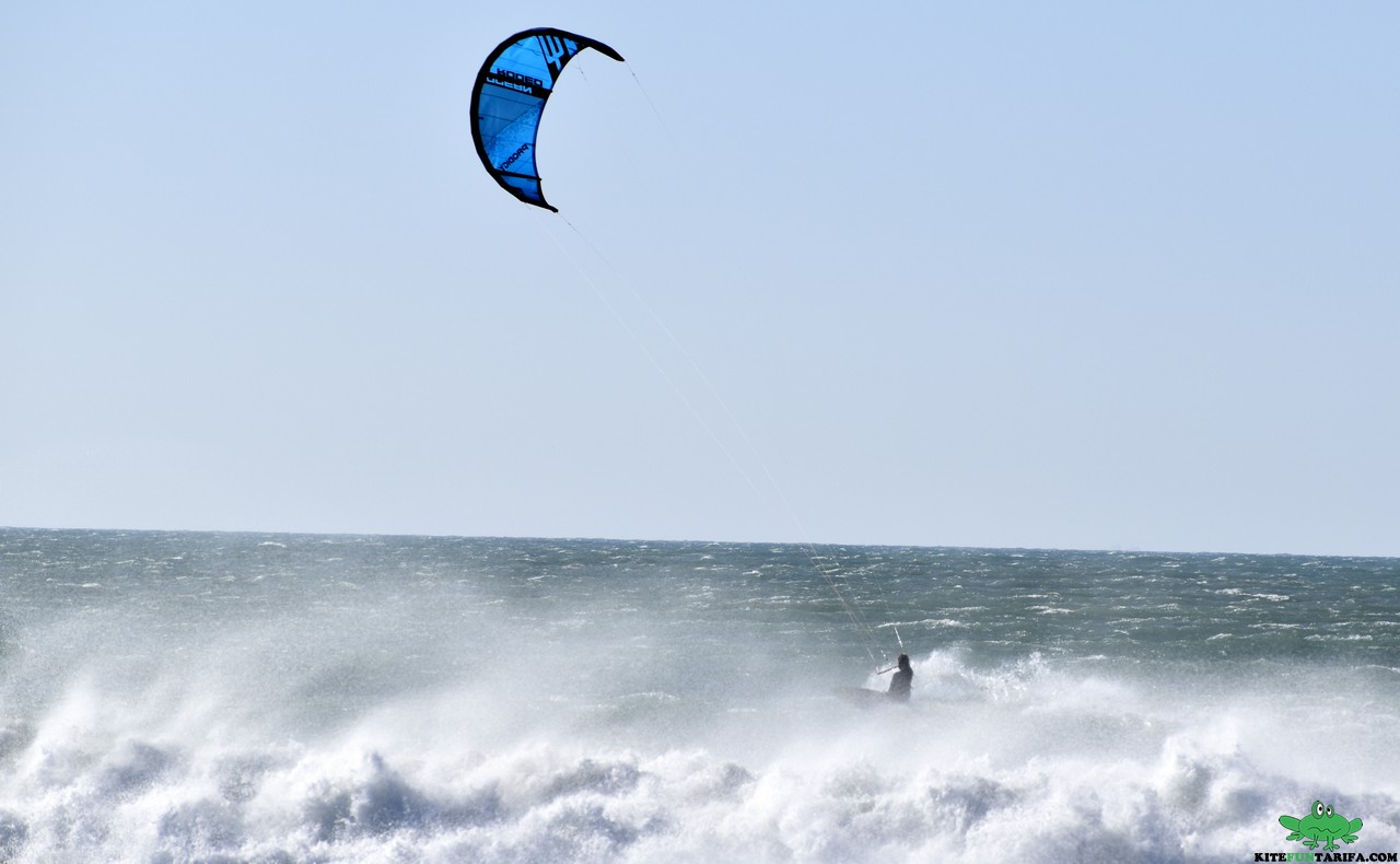 test ocean rodeo prodigy 2020