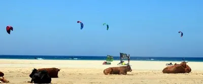 kite fun tarifa