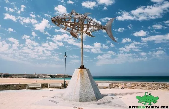 winds tarifa